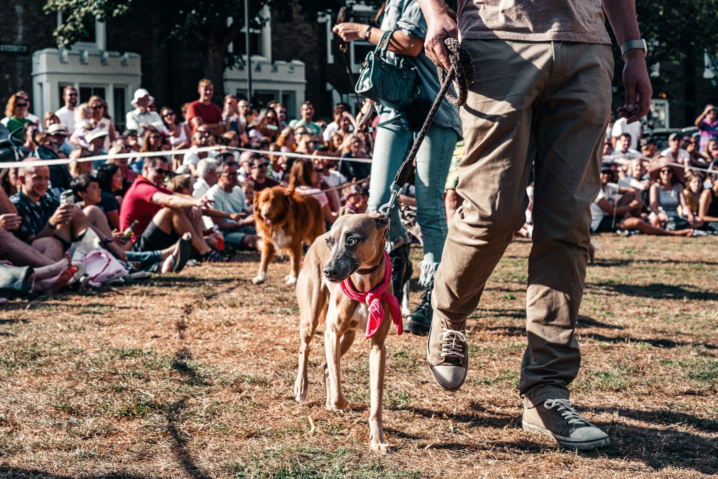 Berkeley Show